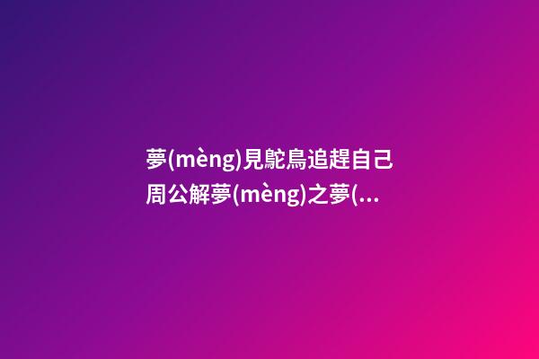 夢(mèng)見鴕鳥追趕自己　周公解夢(mèng)之夢(mèng)到鴕鳥追趕自己